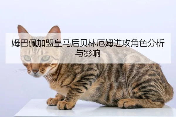 mu-ba-pei-jia-meng-huang-ma-hou-bei-lin-e-mu-jin-gong-jue-se-fen-xi-yu-ying-xiang-1-549.jpg - 6686.com