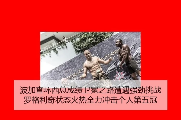 bo-jia-cha-huan-xi-zong-cheng-ji-wei-mian-zhi-lu-zao-yu-qiang-jing-tiao-zhan-luo-ge-li-qi-zhuang-tai-huo-re-quan-li-3-299.jpg